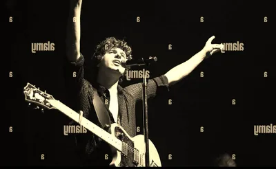 The Kooks